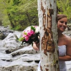 Meet your Posher, Diana